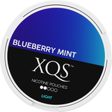 XQS Blueberry Mint