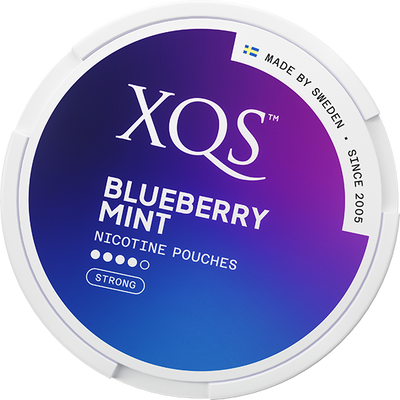 XQS Blueberry Mint Strong