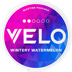 VELO Wintery Watermelon Mini