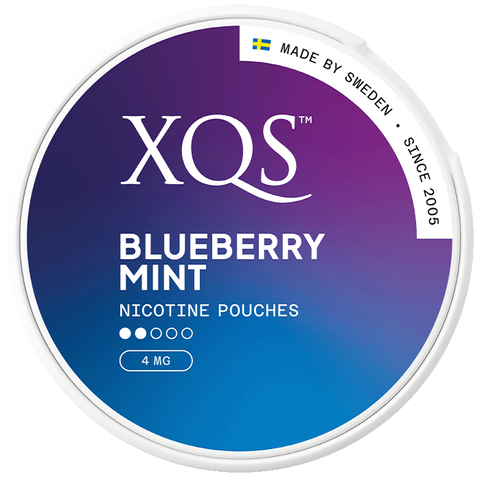 XQS Blueberry Mint